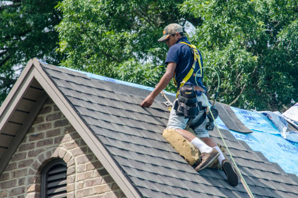 Best Tile Roofing Contractor  in Ormond By The Sea, FL